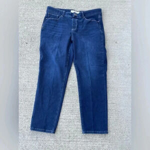 Soft Surroundings Pants Womens XL Straight Leg Denim Stretch